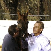 Scottsdale Arabian Horse Farm Tours