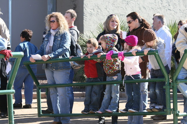 Scottsdale Arabian Horse Farm Tours