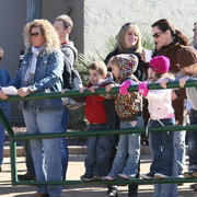 Scottsdale Arabian Horse Farm Tours