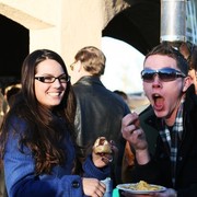 Scottsdale Arabian Horse Farm Tours