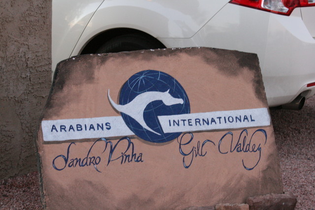 Scottsdale Arabian Horse Farm Tours