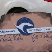 Scottsdale Arabian Horse Farm Tours