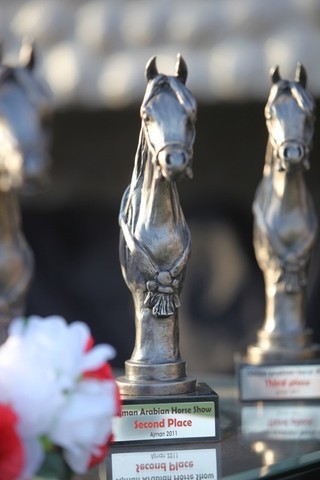 2011 Ajman Arabian Horse Show Day 1