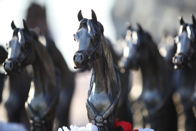 2011 Ajman Arabian Horse Show Day 1