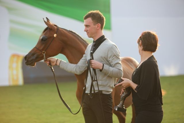 2011 Ajman Arabian Horse Show Day 2