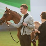 2011 Ajman Arabian Horse Show Day 2