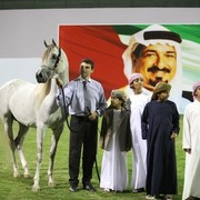 2011 Ajman Arabian Horse Show Day 2