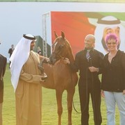 2011 Ajman Arabian Horse Show Day 2