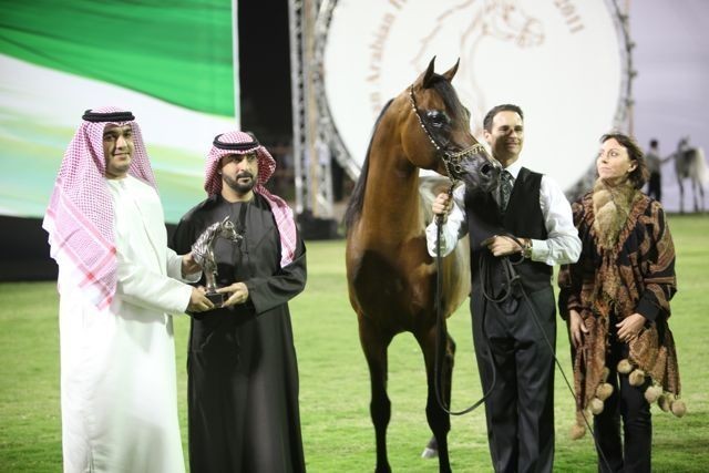 2011 Ajman Arabian Horse Show Day 2