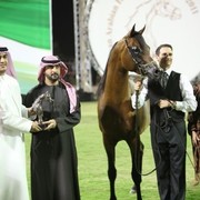 2011 Ajman Arabian Horse Show Day 2