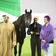 2011 Ajman Arabian Horse Show Day 2