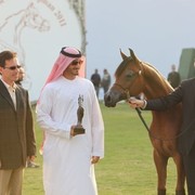 2011 Ajman Arabian Horse Show Day 2