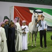 2011 Ajman Arabian Horse Show Day 2
