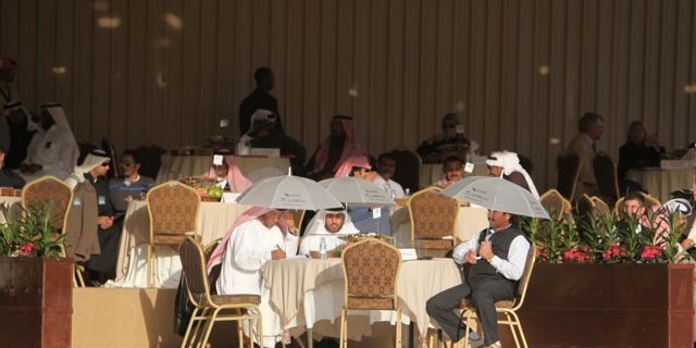 2011 Al Khalediah Arabian Horse Festival - Day 1