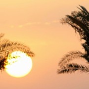 2011 Al Khalediah Arabian Horse Festival - Day 1