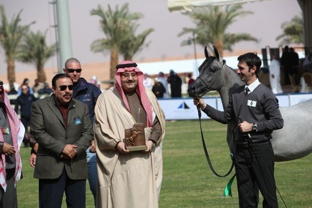 2011 Al Khalediah Arabian Horse Festival - Day 1