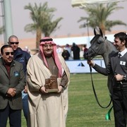 2011 Al Khalediah Arabian Horse Festival - Day 1