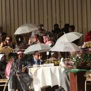 2011 Al Khalediah Arabian Horse Festival - Day 1