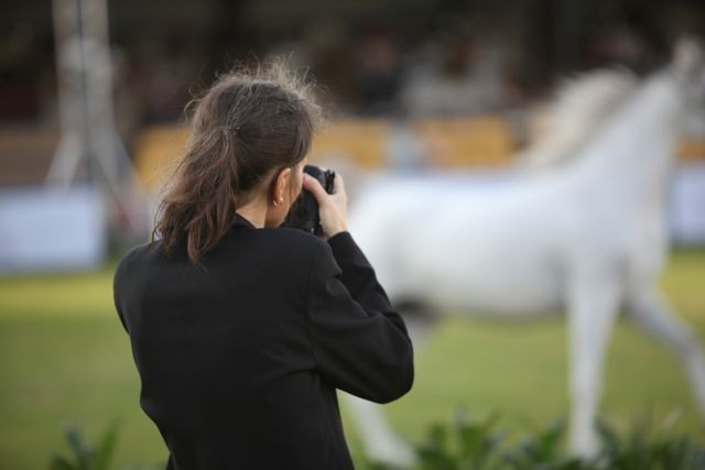 2011 Al Khalediah Arabian Horse Festival - Day 1