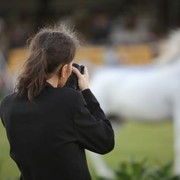 2011 Al Khalediah Arabian Horse Festival - Day 1