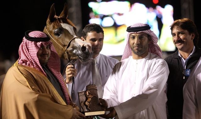 2011 Al Khalediah Arabian Horse Festival - Day 1