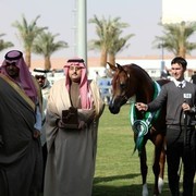 2011 Al Khalediah Arabian Horse Festival - Day 1