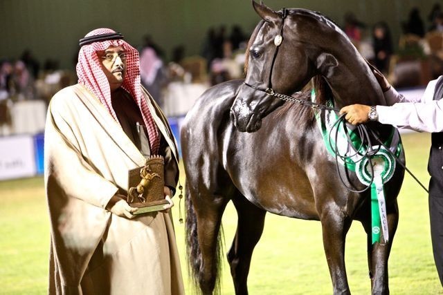 2011 Al Khalediah Arabian Horse Festival - Day 1
