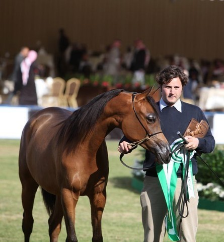 2011 Al Khalediah Arabian Horse Festival - Day 1