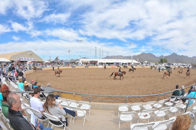 2011 Scottsdale Arabian Horse Show