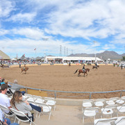 2011 Scottsdale Arabian Horse Show