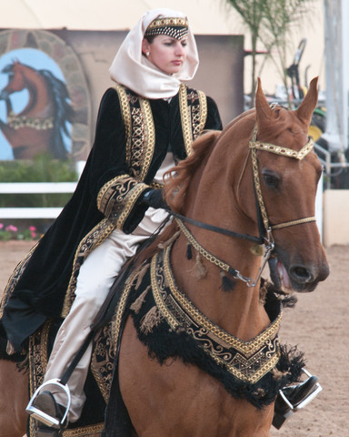 2011 Scottsdale Arabian Horse Show