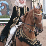 2011 Scottsdale Arabian Horse Show
