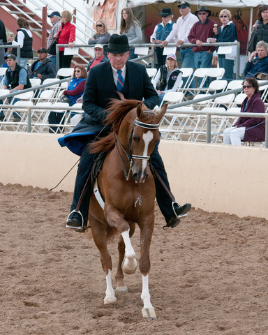 2011 Scottsdale Arabian Horse Show