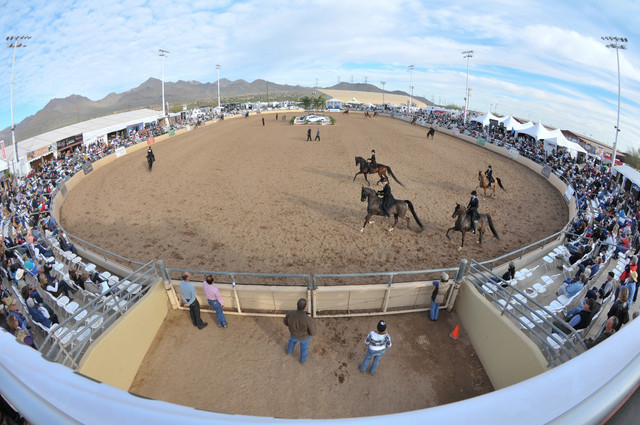 2011 Scottsdale Arabian Horse Show