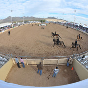 2011 Scottsdale Arabian Horse Show