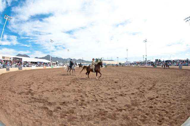 2011 Scottsdale Arabian Horse Show