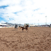 2011 Scottsdale Arabian Horse Show