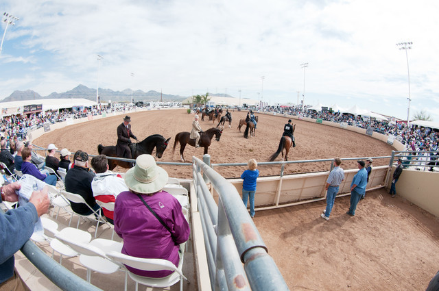 2011 Scottsdale Arabian Horse Show