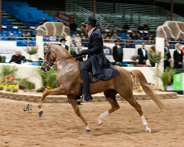 2011 Scottsdale Arabian Horse Show