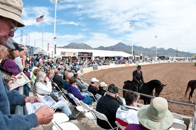 2011 Scottsdale Arabian Horse Show