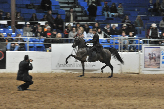 2011 Scottsdale Arabian Horse Show