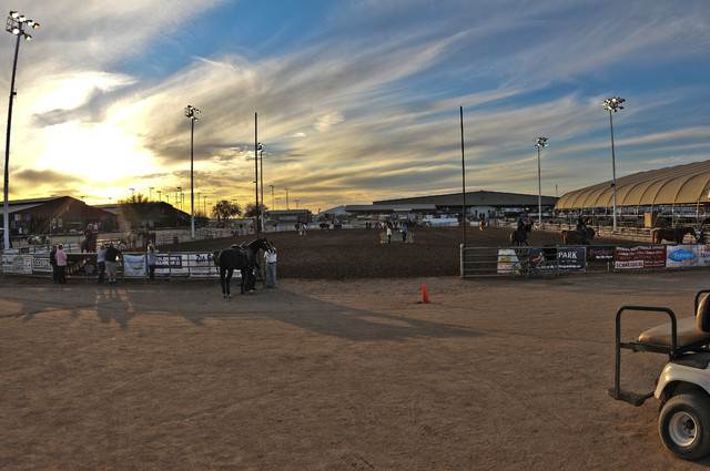 2011 Scottsdale Arabian Horse Show