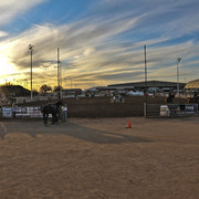 2011 Scottsdale Arabian Horse Show