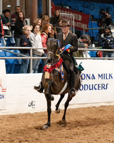 2011 Scottsdale Arabian Horse Show