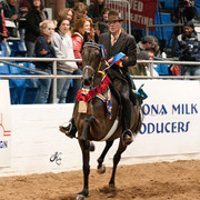 2011 Scottsdale Arabian Horse Show