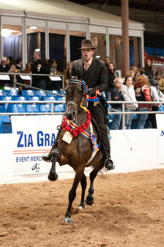 2011 Scottsdale Arabian Horse Show