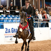 2011 Scottsdale Arabian Horse Show