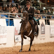 2011 Scottsdale Arabian Horse Show
