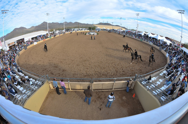 2011 Scottsdale Arabian Horse Show