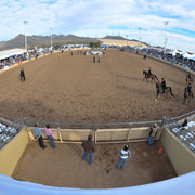 2011 Scottsdale Arabian Horse Show